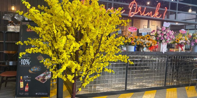 Shop Bán Cây Mai Giả Tại TP – HCM